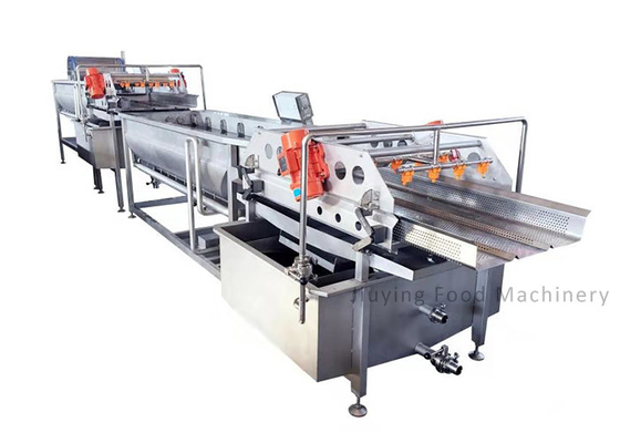 1500kg/h Vegetable Fruit Washing Machine Automatic Salad Production Line