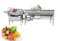 4.8KW Vegetable and Fruit Washing Machine with 1000KG/H Capacity