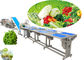 Customized Vegetable Processing Equipment / Fruit And Vegetable Washer Machine