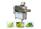 SS Vegetables Automatic Production Line For Central Kitchen