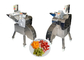 900KG/H 3 - 25mm Carrot Veg Dicer Machine Fruit Mango Cutting Equipment