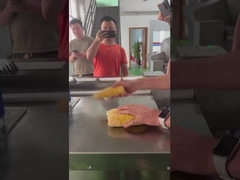 মাংসের ব্যান্ড সেগ