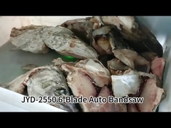 ৬-ব্লেড স্বয়ংক্রিয় উল্লম্ব ব্যান্ডসো মেশিন টাচ স্ক্রিন কন্ট্রোল সহ হিমায়িত মাছ কাটা