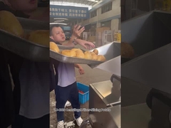 12 কাটিয়া স্টেশন সেন্ট্রিফুগাল আলু চিপস স্লাইস কাটিয়া মেশিন চমৎকার ফলাফল সঙ্গে