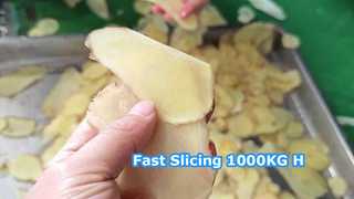 1000KG/H সেন্ট্রিফিউগাল স্লাইসার মেশিন